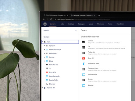 Umbraco CMS (1)
