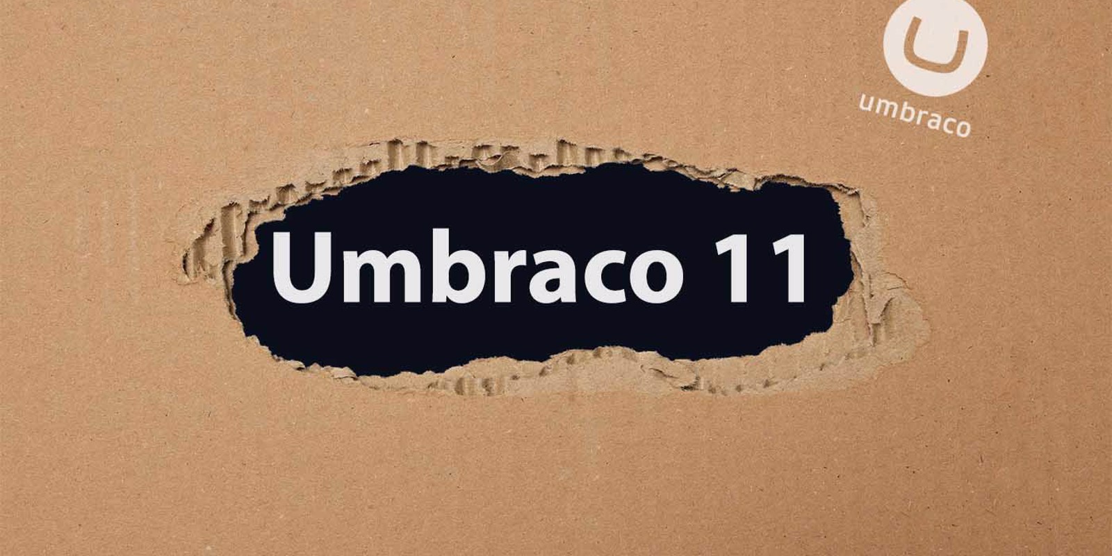 Umbraco 11